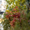 Appartamento zona Bocconi - Design vintage quiet apartment near Bocconi - immagine 42