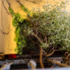 Appartamento zona Bocconi - Design vintage quiet apartment near Bocconi - immagine 28