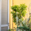 Appartamento zona Bocconi - Design vintage quiet apartment near Bocconi - immagine 30